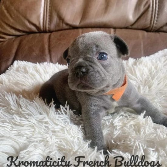 WhatsApp Image 2023-03-13 at 08.30.29