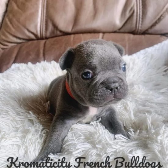 WhatsApp Image 2023-03-13 at 08.30.30 (1)