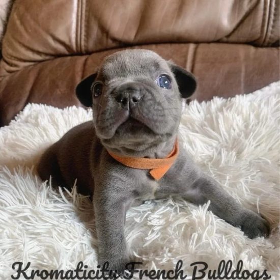 WhatsApp Image 2023-03-13 at 08.30.30